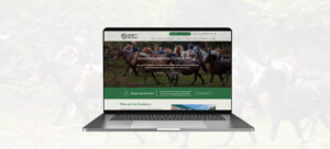 Verderers of the New Forest