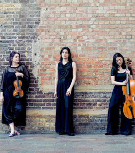 Haslemere Concerts